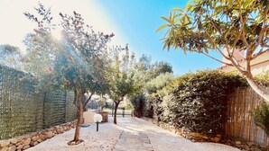 A garden pathway with stone paving, surrounded by various plants and trees. - Domo Magenta, Three-room apartment with garden near the center of San Teodoro (San Teodoro)