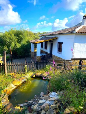 Property grounds - El Mirador de la Sierra (Pruna)