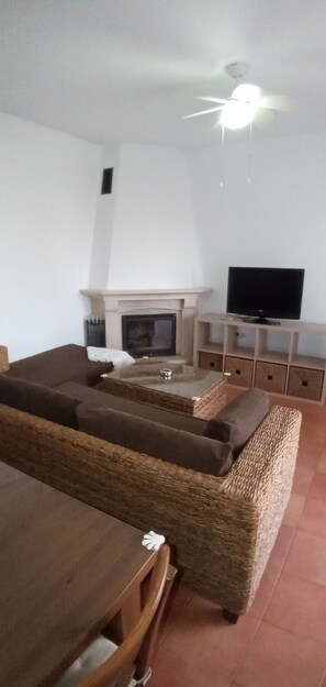 Smart-TV, Kamin