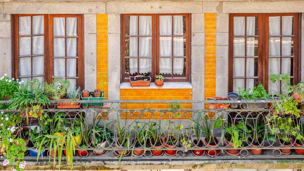 Fachada de edificio con varias ventanas, un balcón con plantas en macetas y un muro de ladrillo.