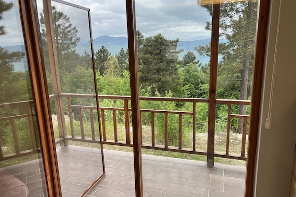 Televisión LCD, chimenea, juguetes