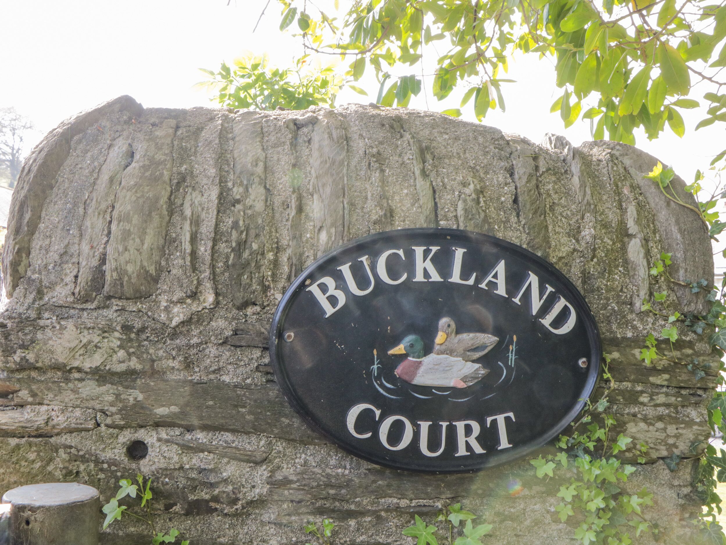 A sign with the text 'BUCKLAND COURT' mounted on a stone wall.