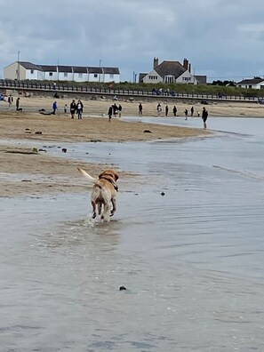 Beach nearby