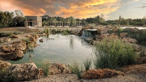 A serene outdoor setting with a small pond, rocks, and a wooden structure. - Masseria Cuturi (Manduria)