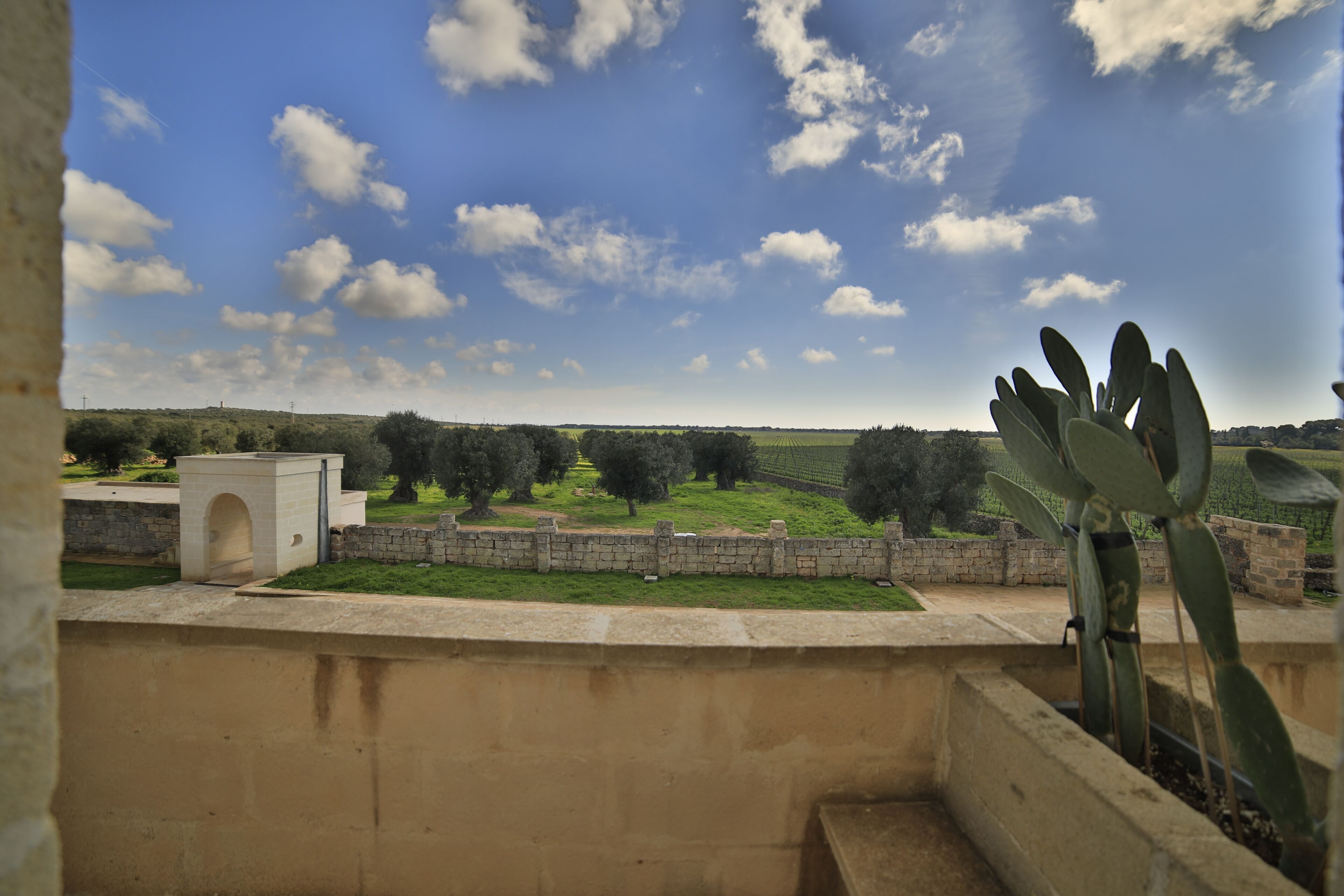 Vista desde un balcón sobre un jardín con un cactus, un muro de piedra y un cielo azul despejado.