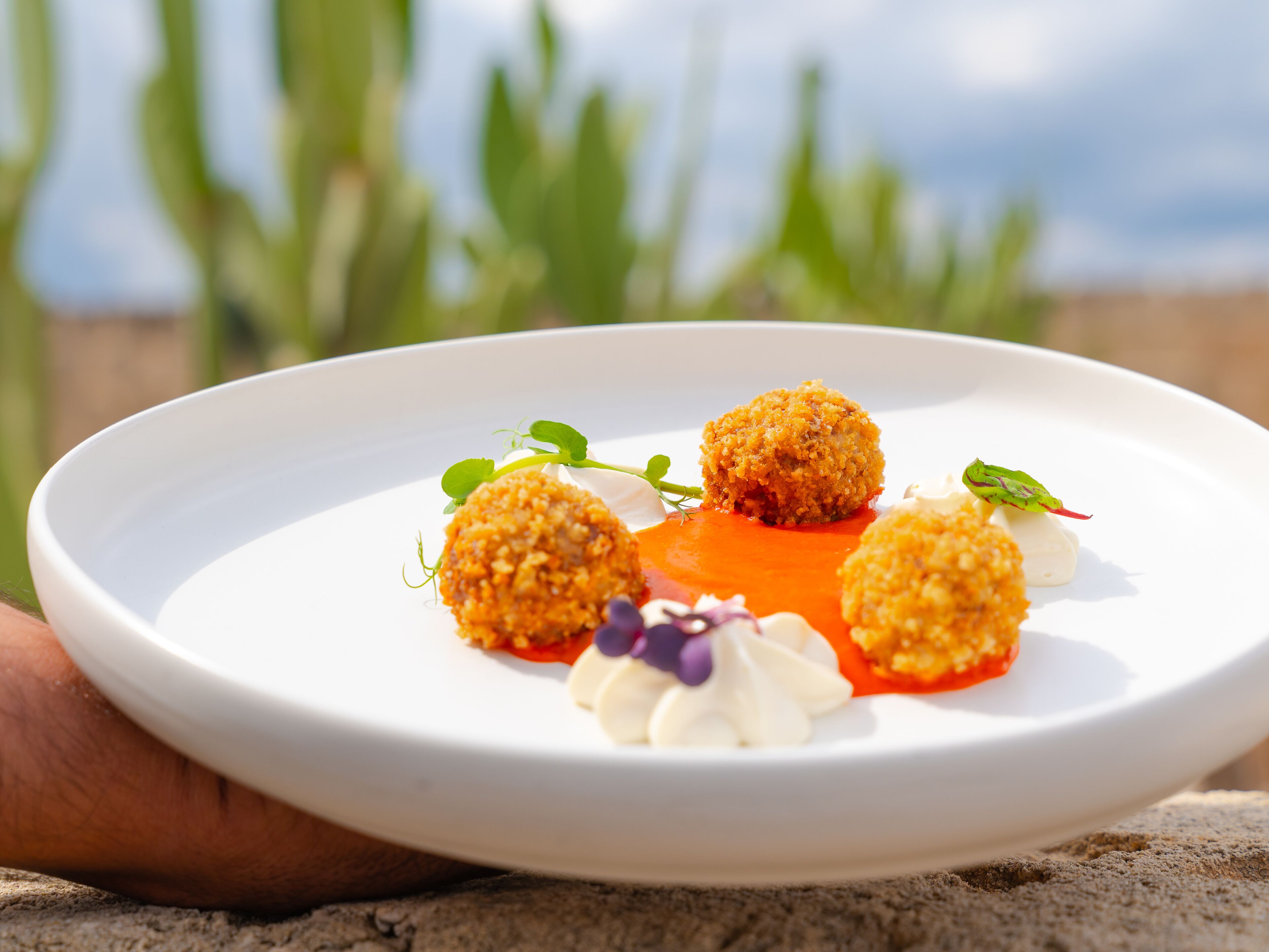 Une assiette blanche sur laquelle on voit trois boules de couleur brun doré, une cuillerée de crème blanche et une sauce rouge, le tout garni de feuilles vertes.