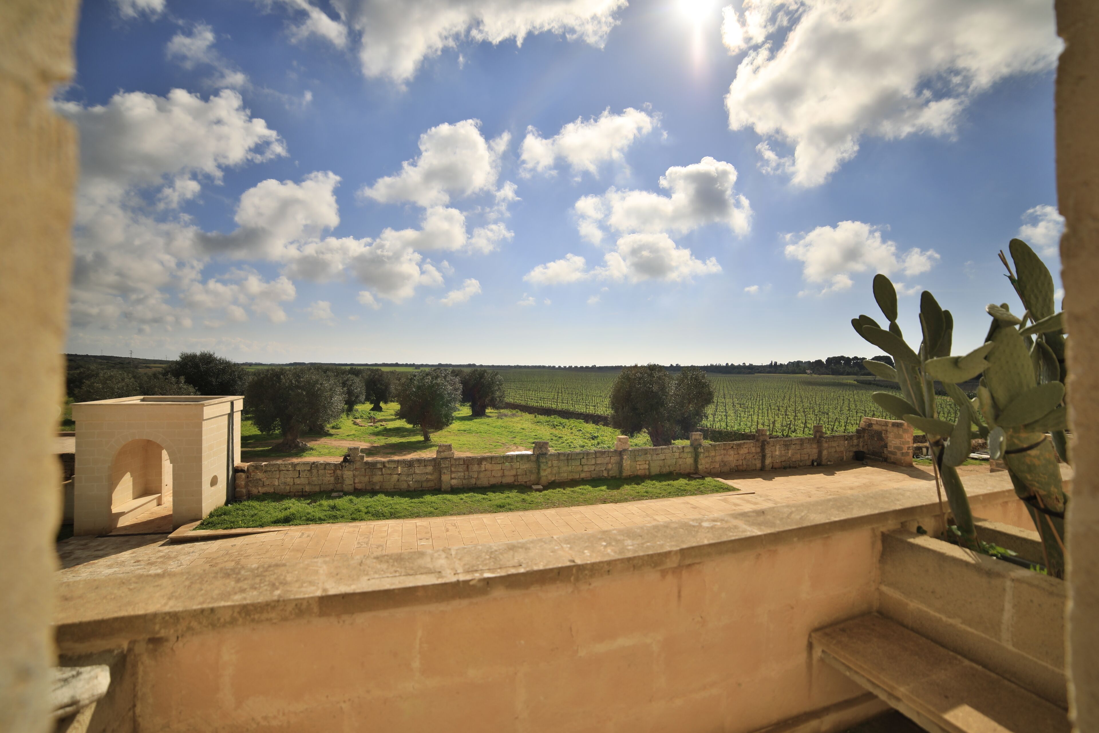 A view from a balcony overlooking a vineyard with a clear sky.