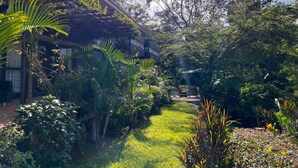 A lush garden with a variety of plants and trees, a pathway leading to a building, and a clear sky. - Pangolin Nest Boutique Hotel (Kampala)