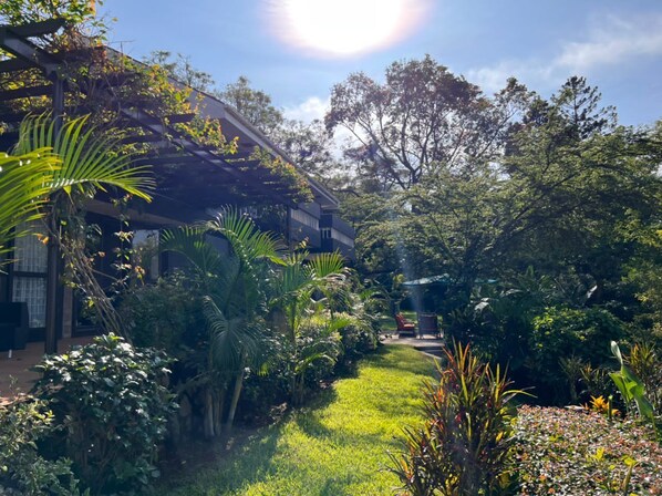 A lush garden with a variety of plants and trees, a pathway leading to a building, and a clear sky.