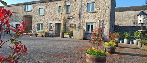 Feriehus | Udendørsområde