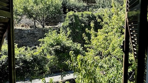 Un vignoble avec des rangées de vignes et un mur de pierre en arrière-plan.
