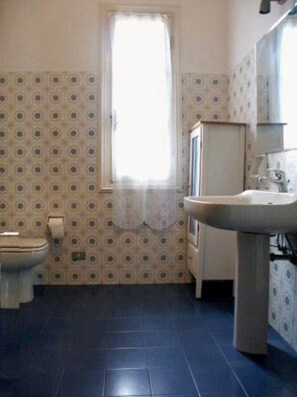 Shower, hair dryer, bidet, toilet paper