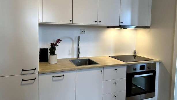 Studio | Private kitchen | Fridge, oven, stovetop, dishwasher - Studio-sleeps 4-city Centre-parking-evcharger (Tromsø)
