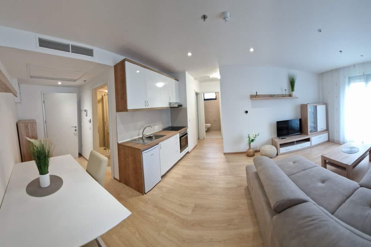 Deluxe Apartment | Living area