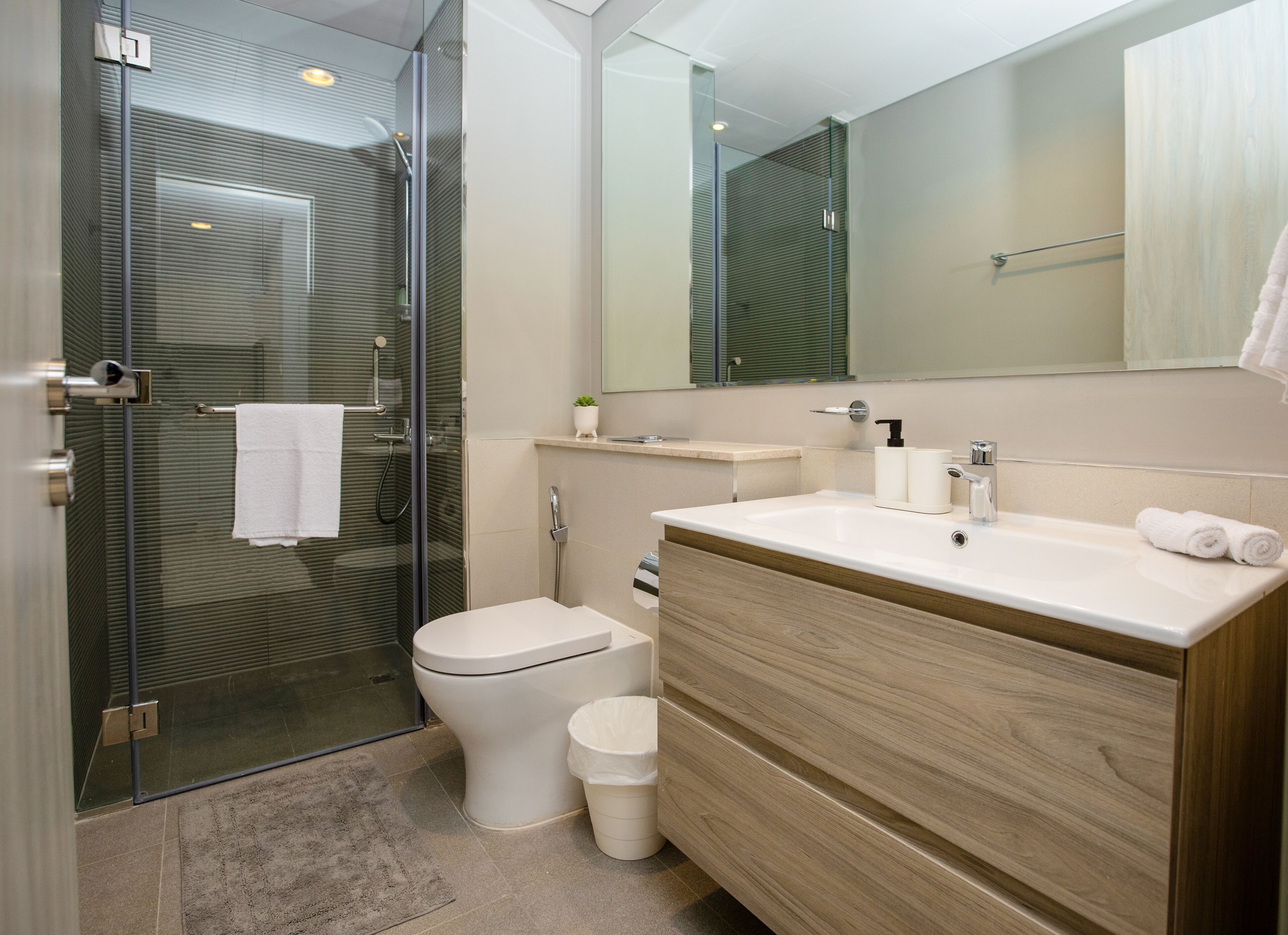 A modern bathroom with a glass-enclosed shower, a toilet, a vanity with a mirror, and a sink.