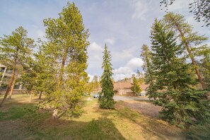 A residential area with multiple trees, a driveway, and houses in the background. - Quicksilver 1628 (Keystone)