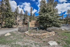 Surrounded by tall pine trees, this lodge offers a serene forest setting.