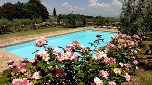 A swimming pool surrounded by lush greenery and blooming pink flowers.