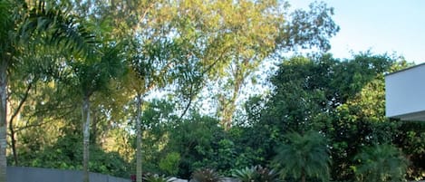 Villa | Pool | Outdoor pool
