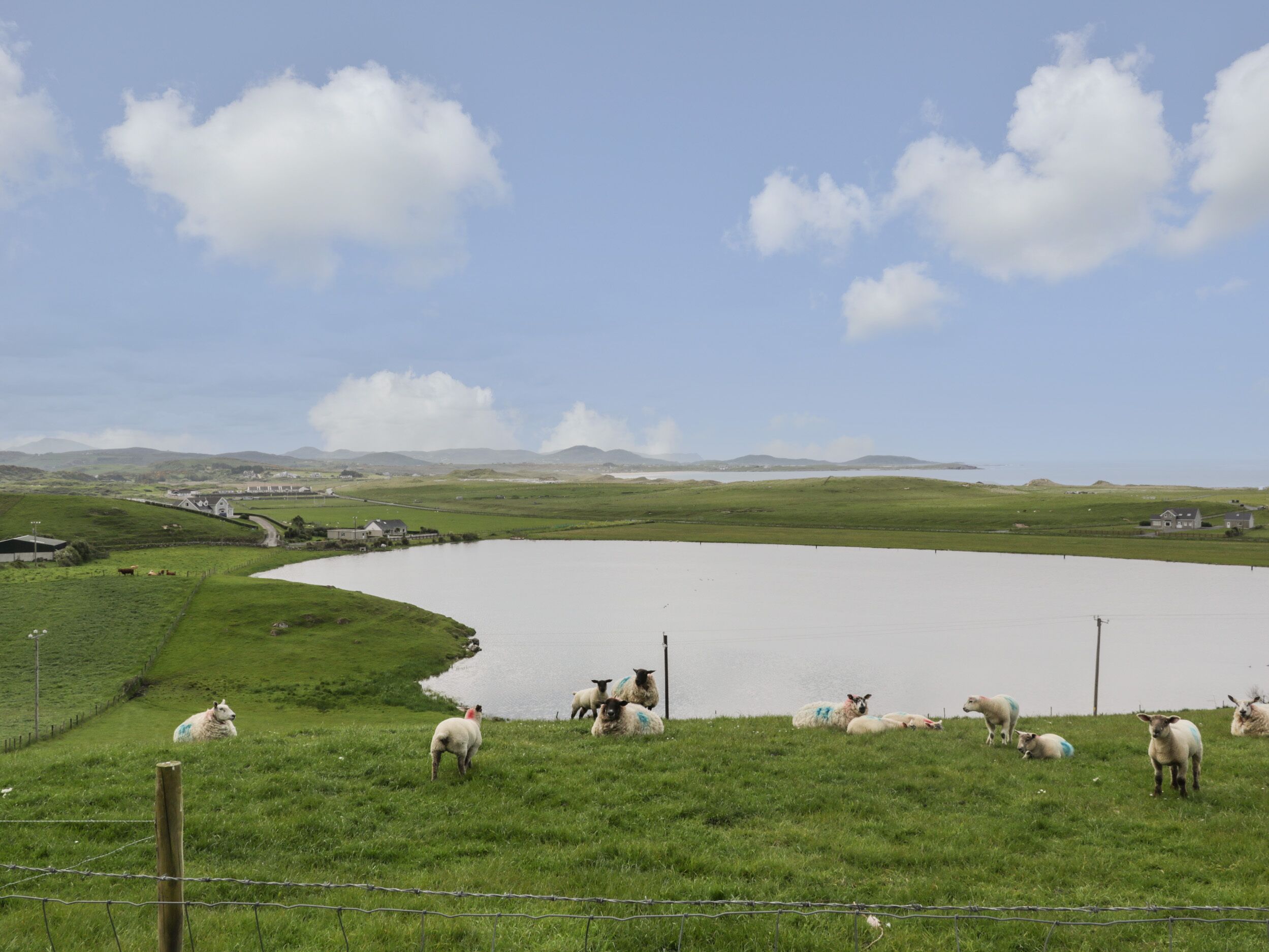Un paysage rural avec une étendue d'eau, des champs verdoyants et quelques bâtiments visibles au loin.