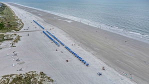 Una playa con hileras de sombrillas azules y sillas, una orilla arenosa y el océano al fondo.