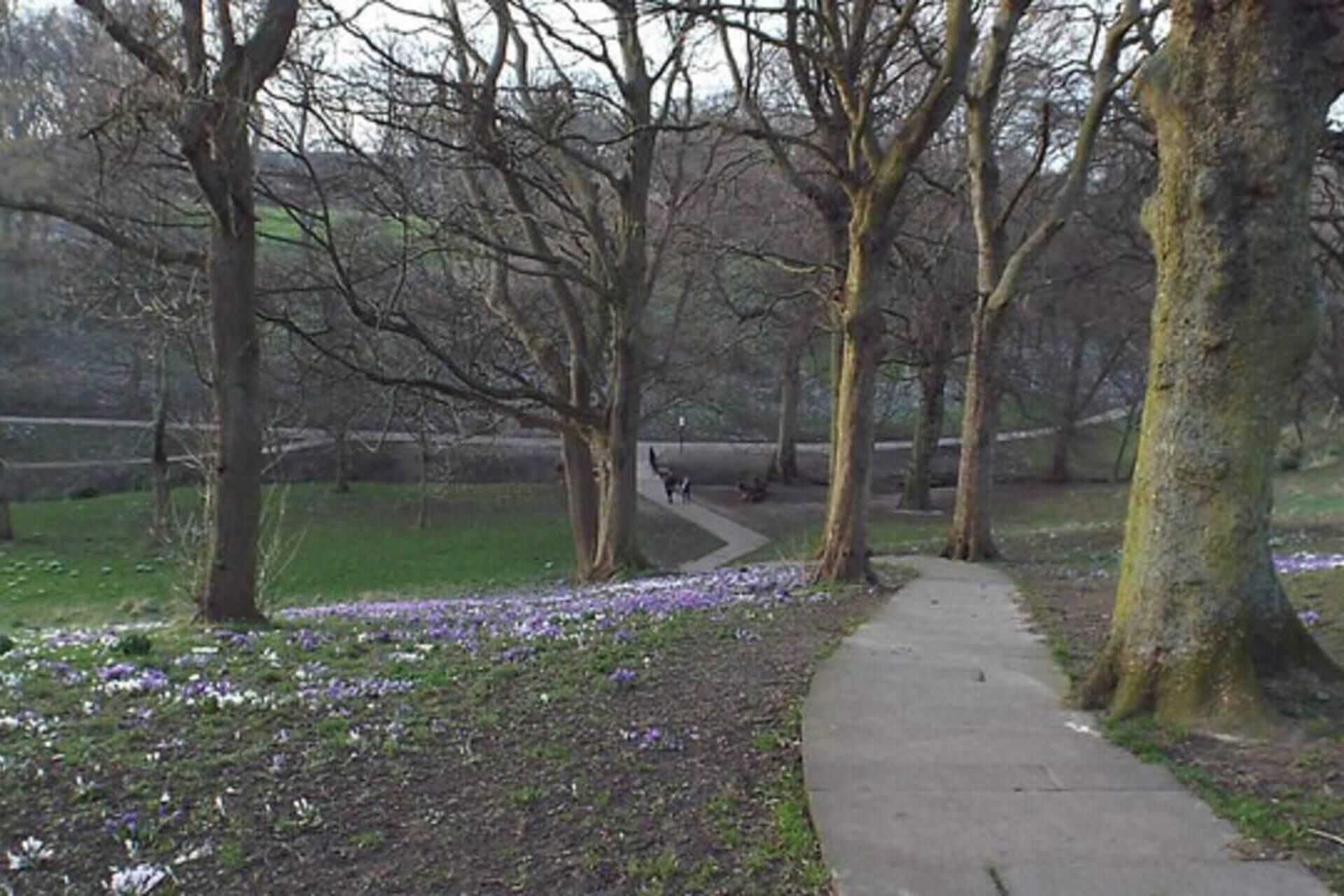 アパートメント | 施設の敷地