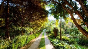 A paved pathway flanked by lush greenery and trees, leading into a garden area. - Pousada Villa 3 Lagos (Santo Antonio do Pinhal)