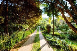 Property grounds - Pousada Villa 3 Lagos (Santo Antonio do Pinhal)