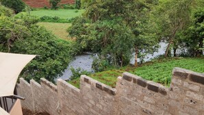 Vista de un río con abundante vegetación y un muro de piedra al frente.