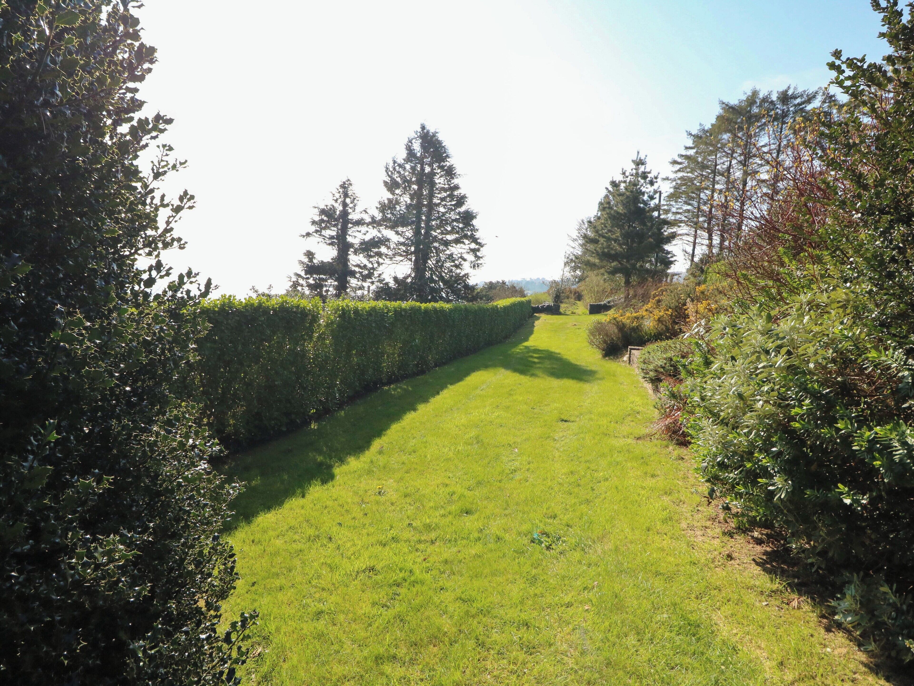 Un sentier herbeux bien entretenu, bordé de haies et d’arbres soigneusement taillés, qui mène à un point de vue éloigné.