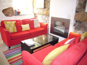 TV, fireplace, books