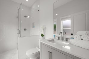 Bathtub, hair dryer, towels