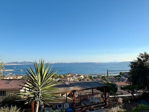 Une vue sur la côte, avec un ciel dégagé, un palmier et un bâtiment doté d’un toit rouge.