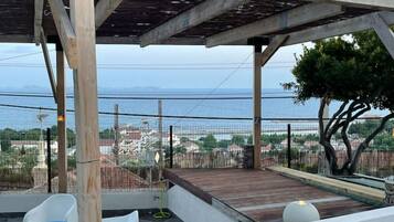 Terras