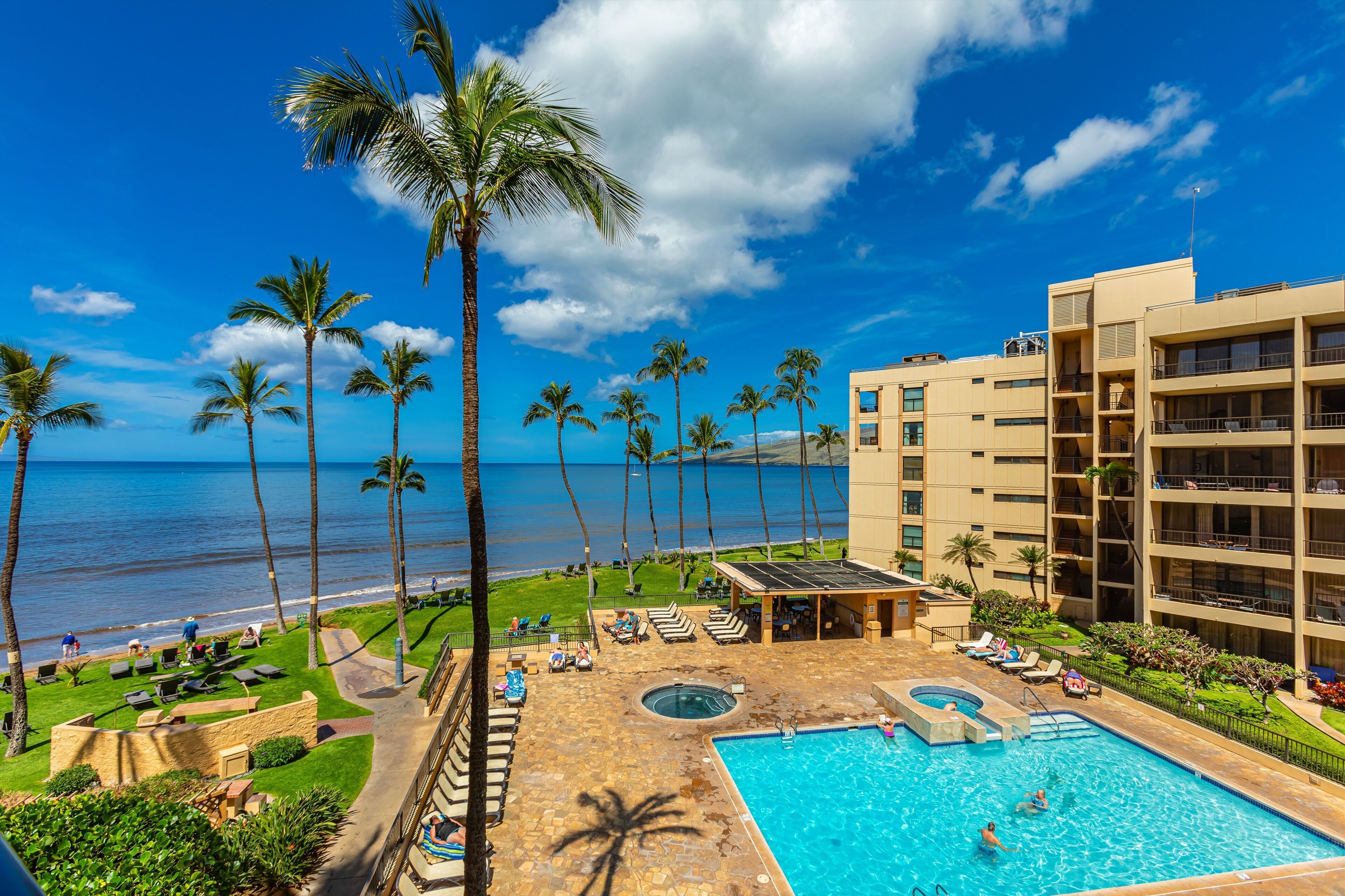 Un resort con piscina, palmeras y vistas al océano.