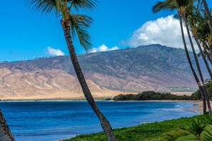 Condo, 1 Bedroom | Beach | On the beach - Sugar Beach Resort, #412 1 Bedroom Condo by RedAwning (Kihei)