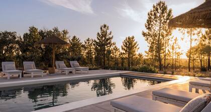 Independente Comporta