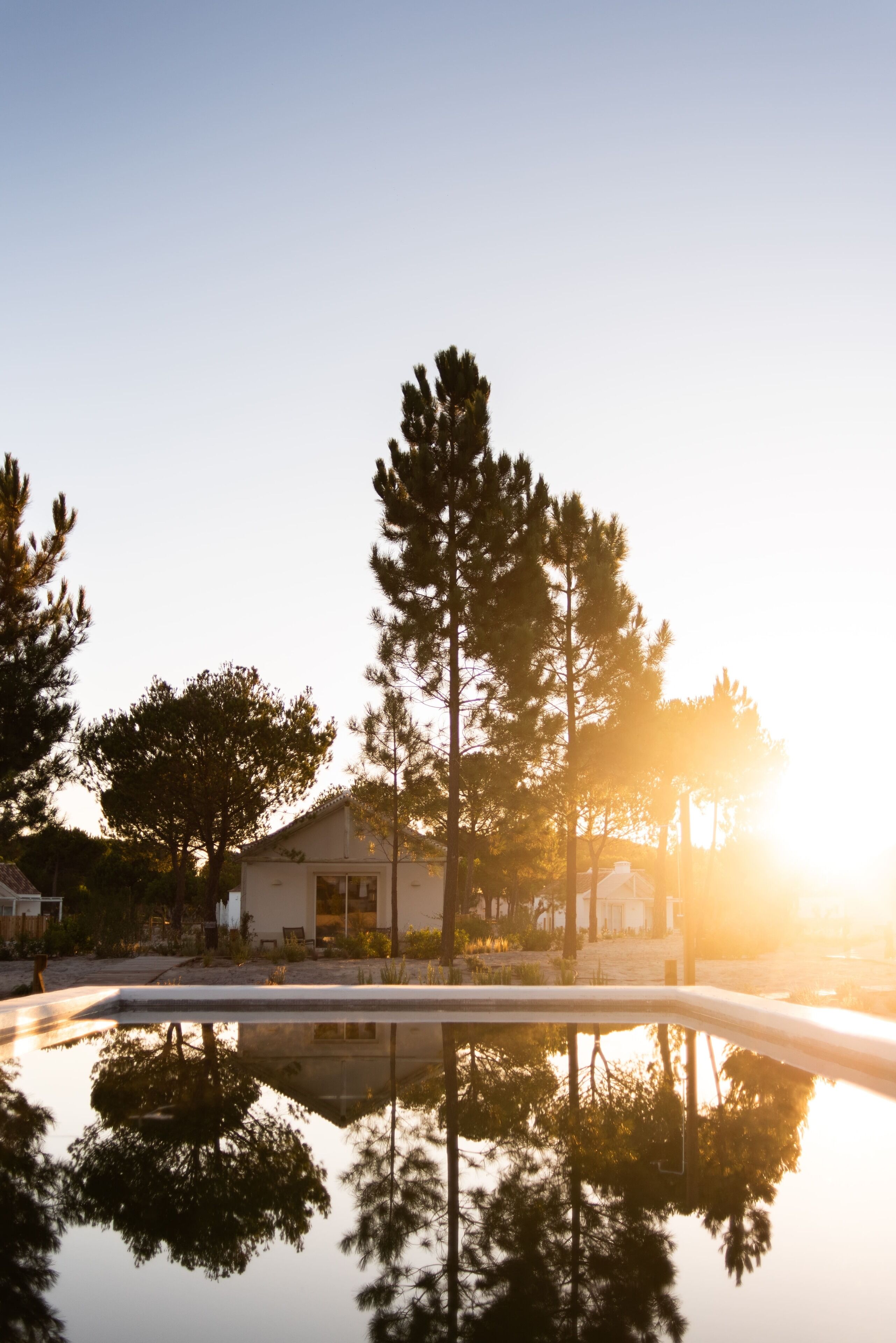 A serene outdoor setting with a reflective pool, trees, and a building in the background.