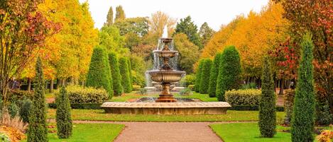 Área da propriedade