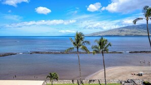 A beach with palm trees, a clear sky, and a view of the ocean.