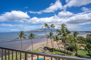 A beach view with palm trees, a pool, and a clear sky.