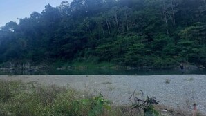 Un paysage naturel avec une rivière, une forêt dense et une personne debout au bord de l’eau.