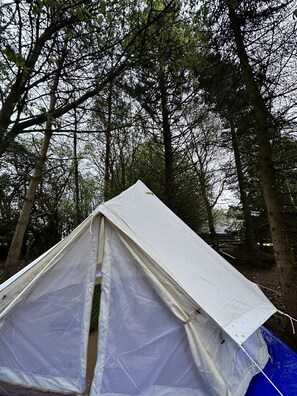Property grounds - Woodlands Basic Bell Tent (Grantham)