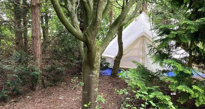 Woodlands Basic Bell Tent