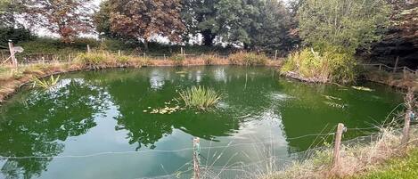 Cabin, 1 Queen Bed | Property grounds