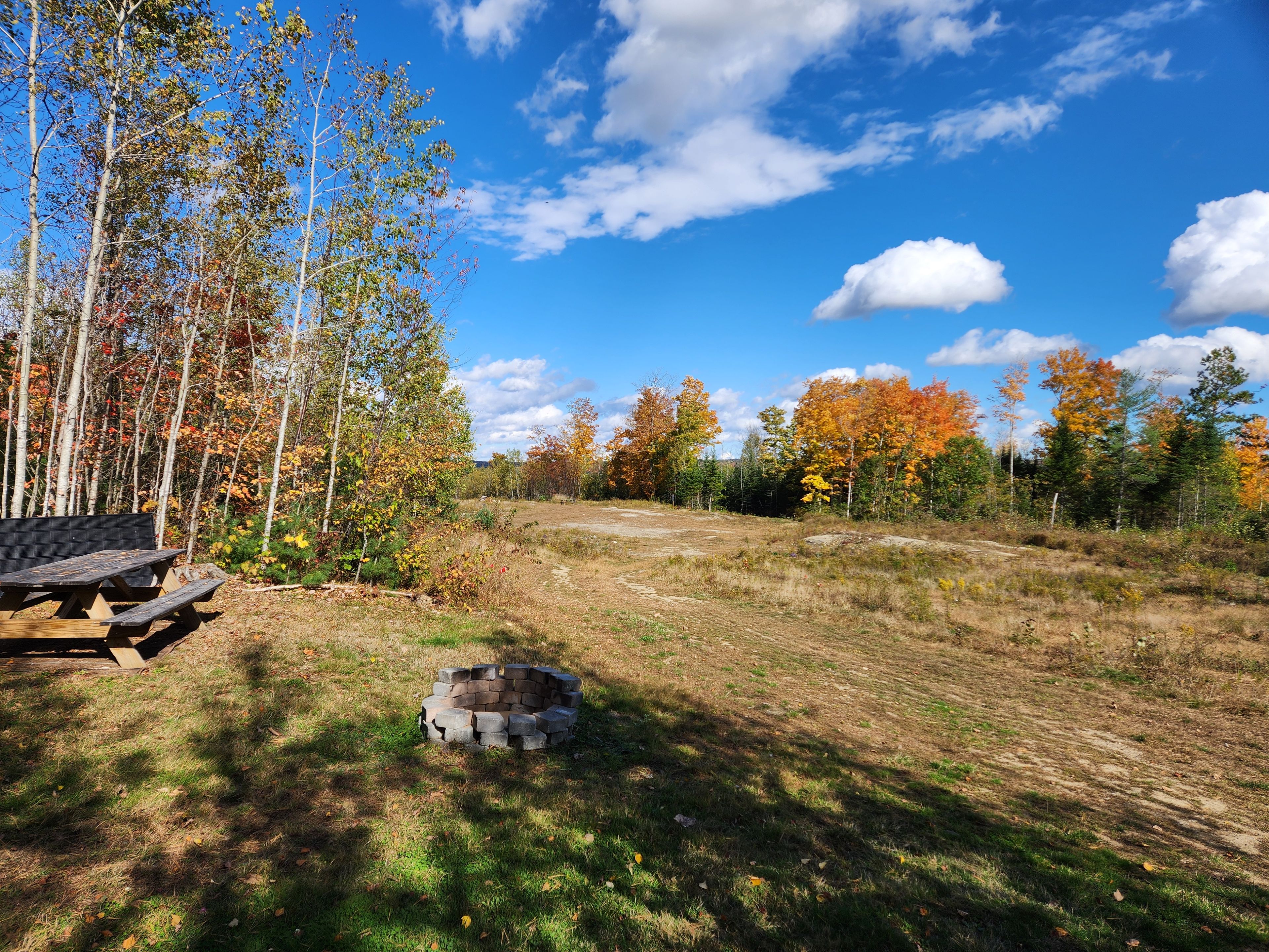 A picnic area with a wooden bench and a fire pit surrounded by trees with autumn foliage.