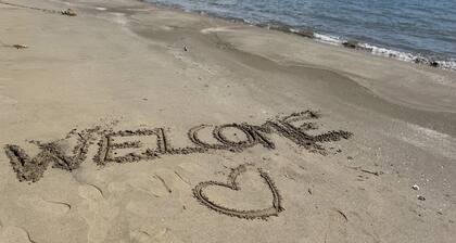 Casa caretta caretta đą