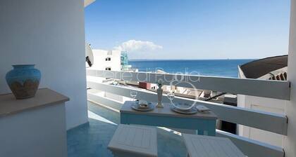 3361 Attico Barca by Barbarhouse