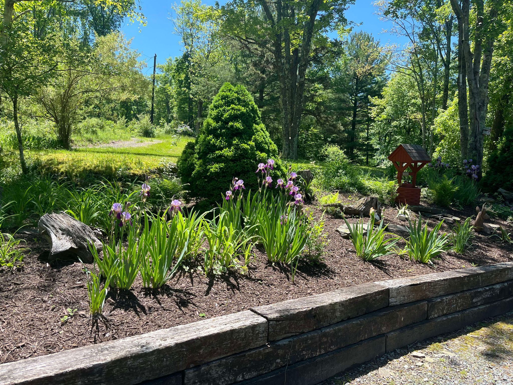 Àrea exterior de l'allotjament