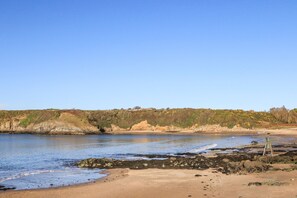 Une plage côtière avec un rivage rocheux, un ciel bleu dégagé et une végétation clairsemée.